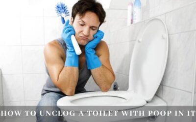 Fast and Easy Ways: How to unclog a toilet with poop in it