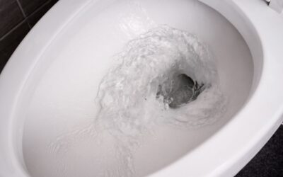 toilet not flushing all the way