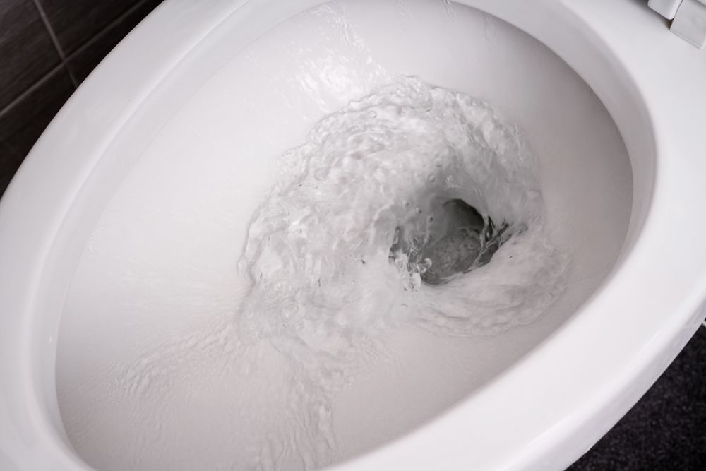 toilet not flushing all the way