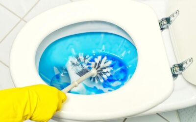 How To Clean Toilet Siphon Jet: 6 Simple Steps To an Effective Strategy