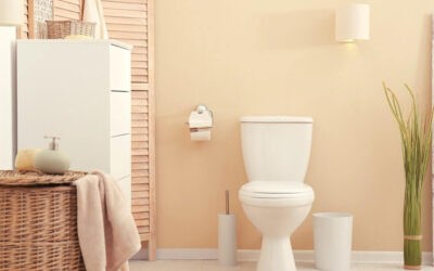Top 14 Best American Standard Toilets: Reviews and Comprehensive Buying Guide [2020]