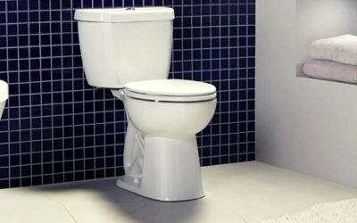 Niagara Stealth Toilet Review: To Buy or Not to Buy?