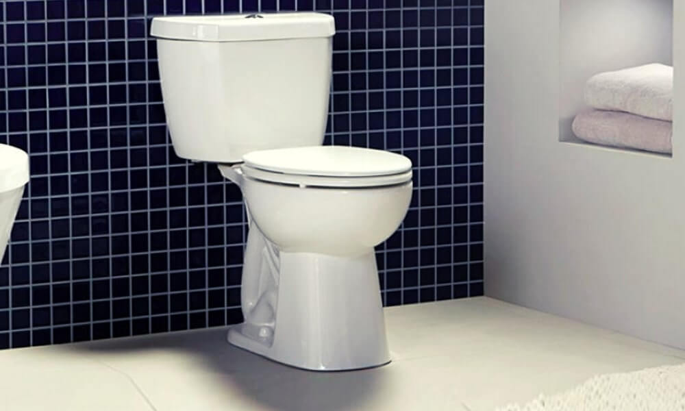 Niagara Stealth Toilet Review To Buy Or Not To Buy?