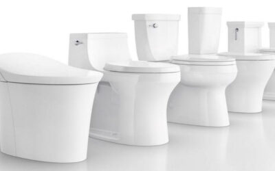10 Best Dual Flush Toilets (2020 Reviews & Buying Guide)