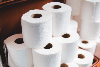 How to unclog toilet paper in the toilet