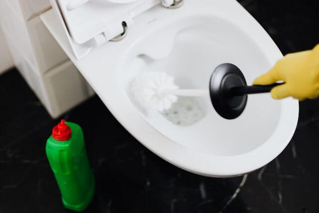 What causes grey stains in toilet bowl