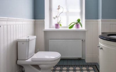 Toilet seat won’t stay up: 5 Reasons and Solutions