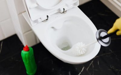 Will Bleach Unclog A Toilet Completely?