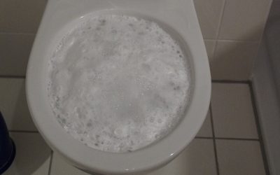 Will A Toilet Eventually Unclog Itself?