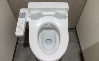 Best Heated Toilet Seat