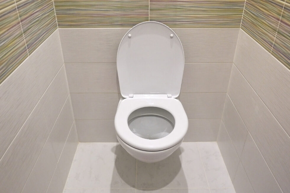 The Best Wall Hung Toilet Buyers Guide And FAQs