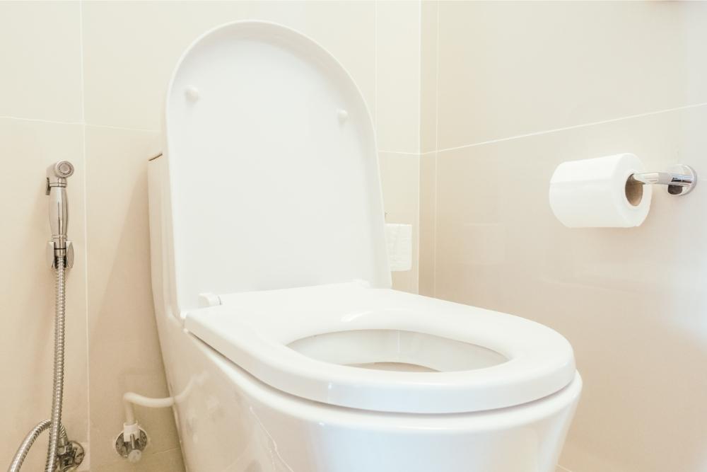 Are Toilet Seats Universal