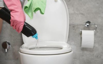 Can You Use Drano In A Toilet?