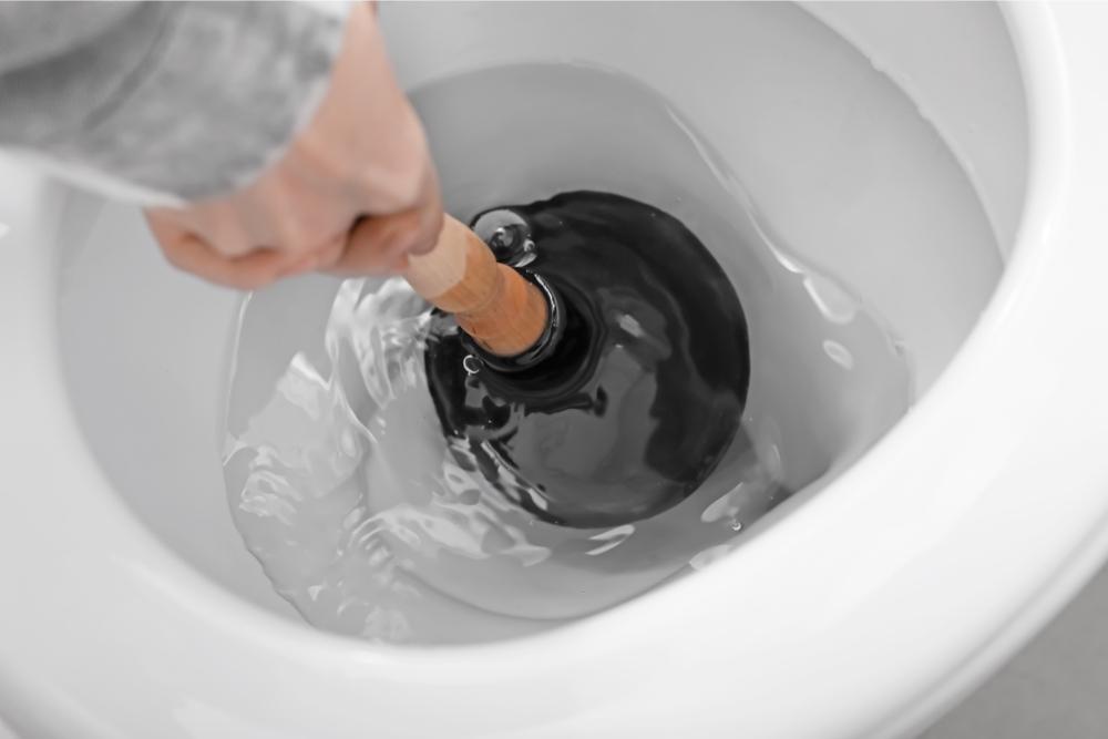 How To Drain A Toilet