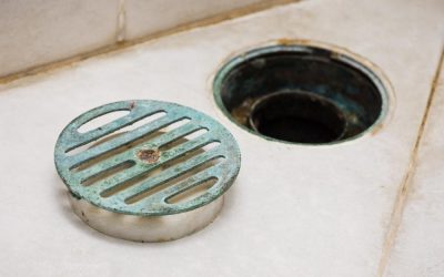 How To Get Rid Of Smelly Drains In Bathroom