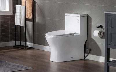 best one piece toilet review