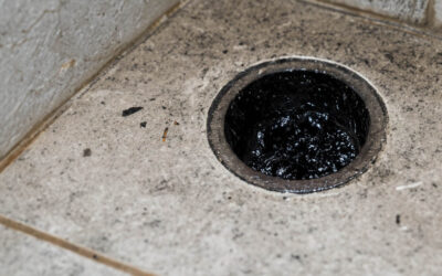 black stuff coming out of shower drain