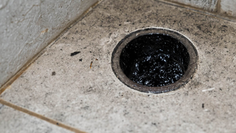 What Is The Black Stuff Coming Out Of My Shower Drain?