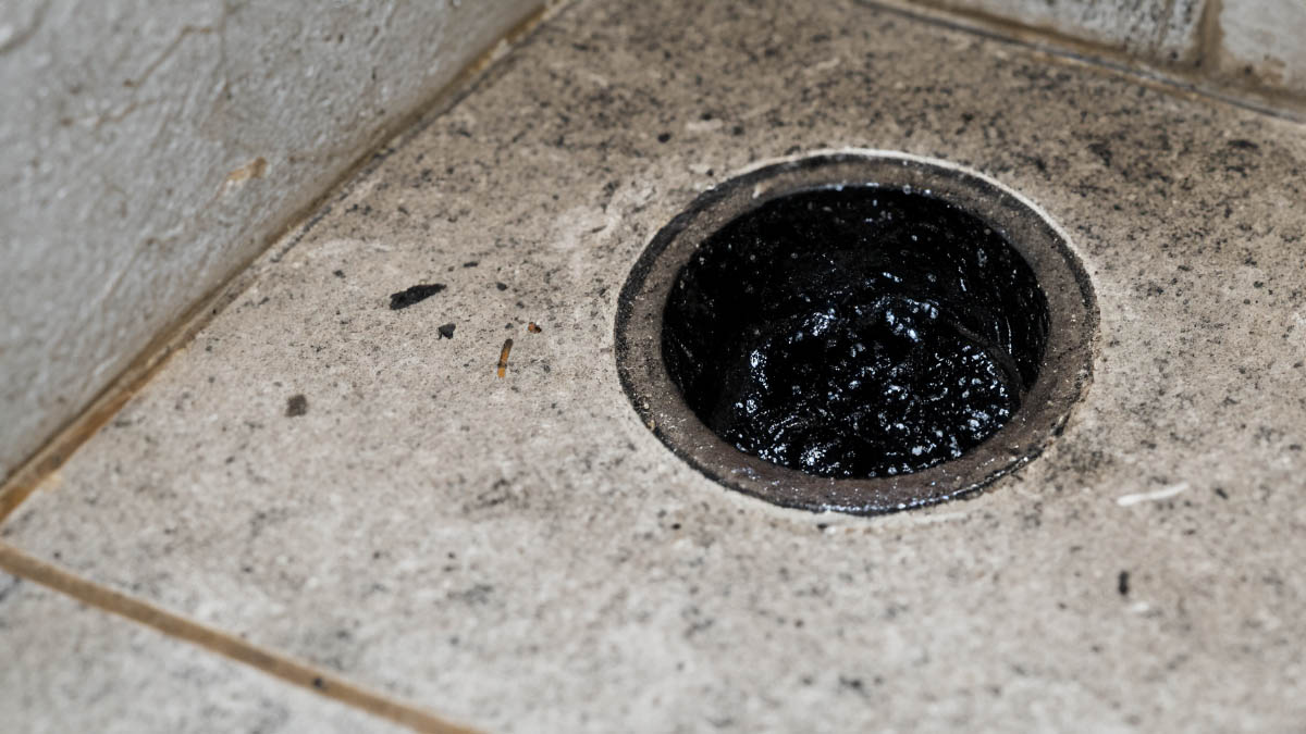 What Is The Black Stuff Coming Out Of My Shower Drain?